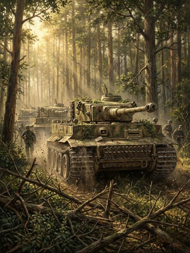 German tiger tank somewhere - german,