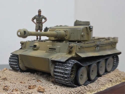 Built tiger 142 belonging - tiger,